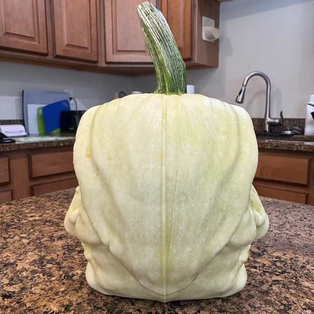 Hexen-Dekorformen für Kürbisse – Auch für Honigmelone & Squash geeignet