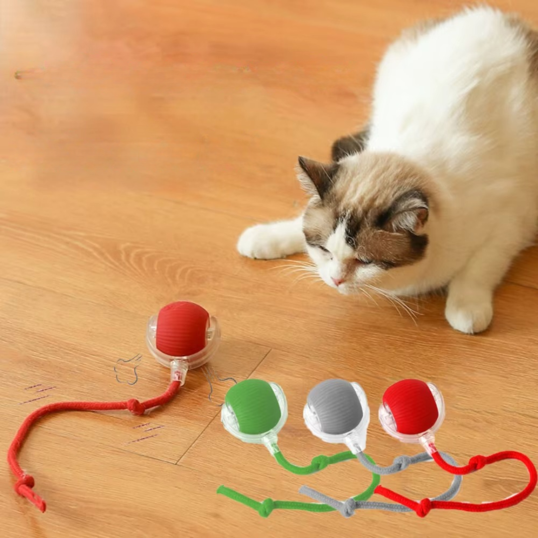 PawPlay™ – Interaktiver Katzenspielzeug-Ball für stundenlangen Spielspaß [50% Rabatt]