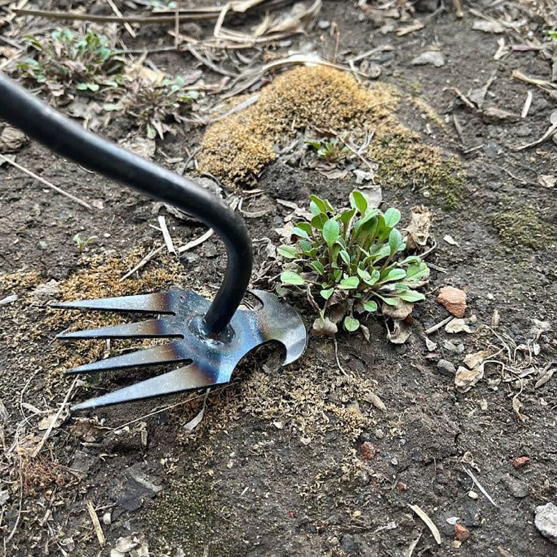 WeedEase™ – Tragbare Handhacke zum Unkrautjäten [50% Rabatt]