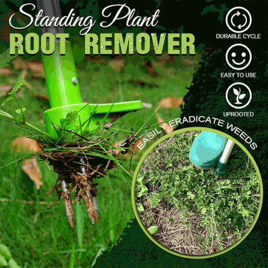 RootVanish™ – Permanenter Wurzelentferner für unerwünschte Pflanzen [50 % Rabatt]