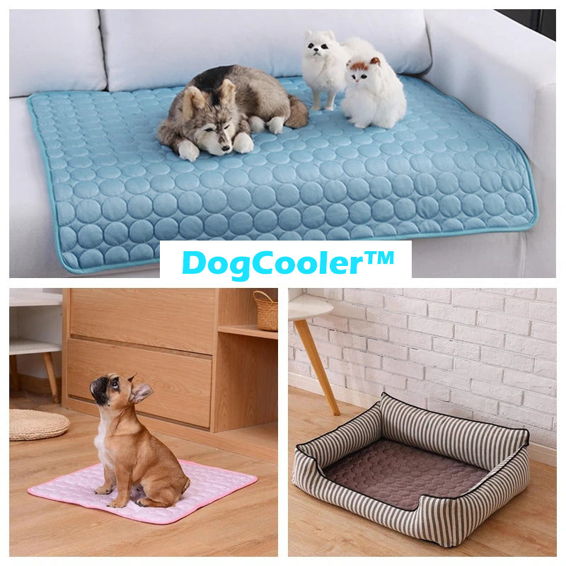 DogCooler™ Kühlende Hundematte | 50% RABATT