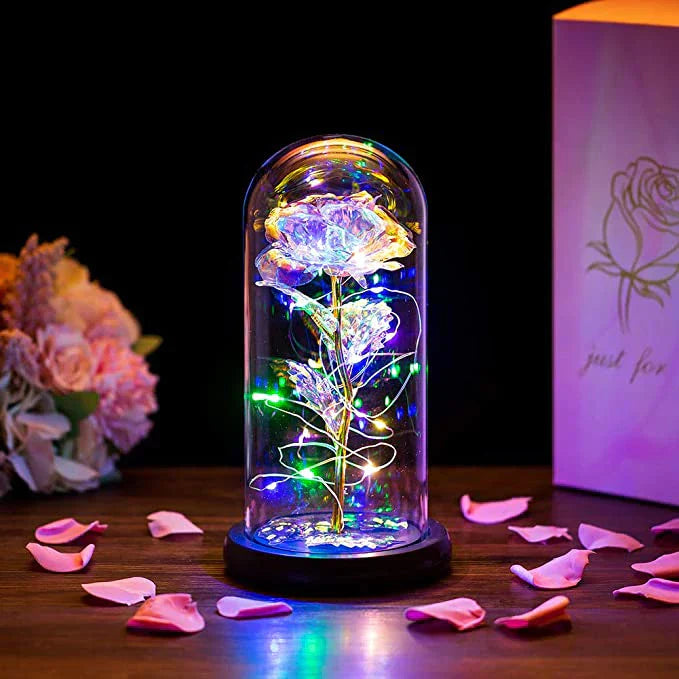 EternaLuxe™ – LED Enchanted Preserved Rose mit Glasschirm | 50% Rabatt