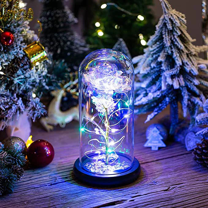 EternaLuxe™ – LED Enchanted Preserved Rose mit Glasschirm | 50% Rabatt