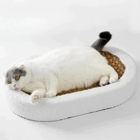 50% Rabatt | ScratchBed™ Katzen-Kratz-Lounge