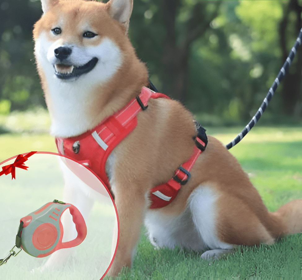 50% Rabatt | DogGrip™ - Führen Sie Ihren Hund sicher spazieren