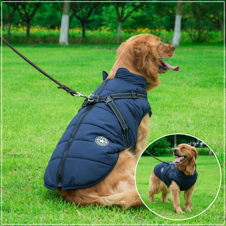 PawJacket™ – Wasserdichte Winterjacke mit Integriertem Geschirr | 50% Rabatt