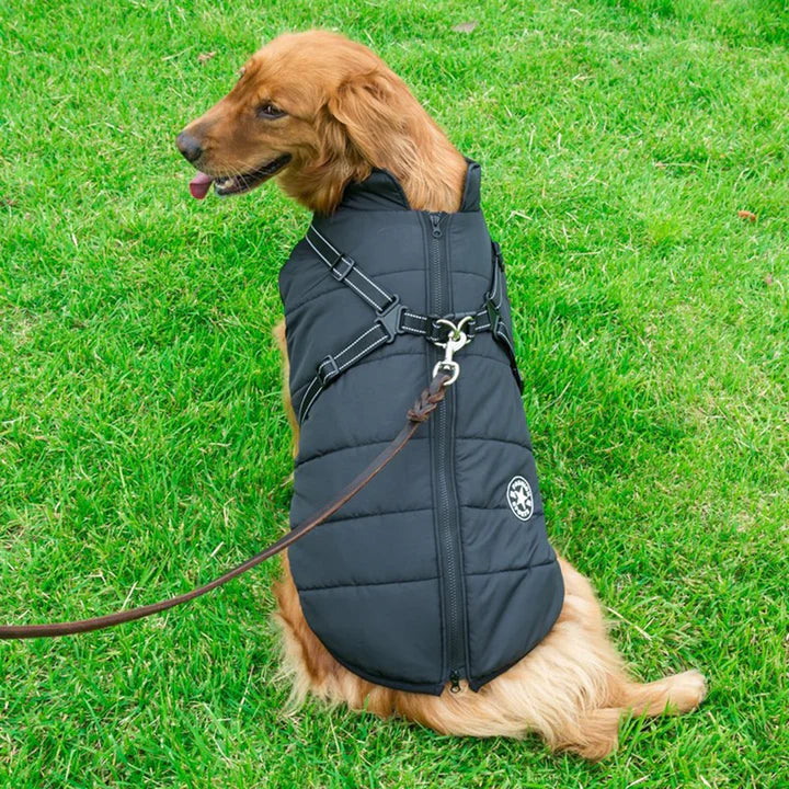 PawJacket™ – Wasserdichte Winterjacke mit Integriertem Geschirr | 50% Rabatt