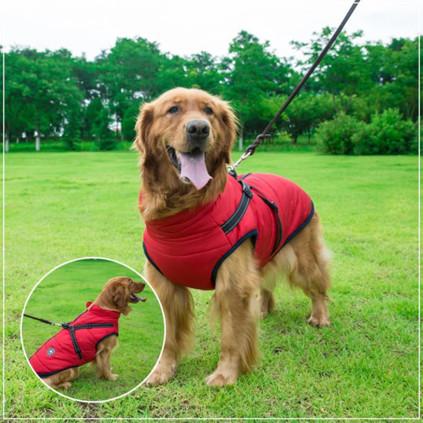 PawJacket™ – Wasserdichte Winterjacke mit Integriertem Geschirr | 50% Rabatt