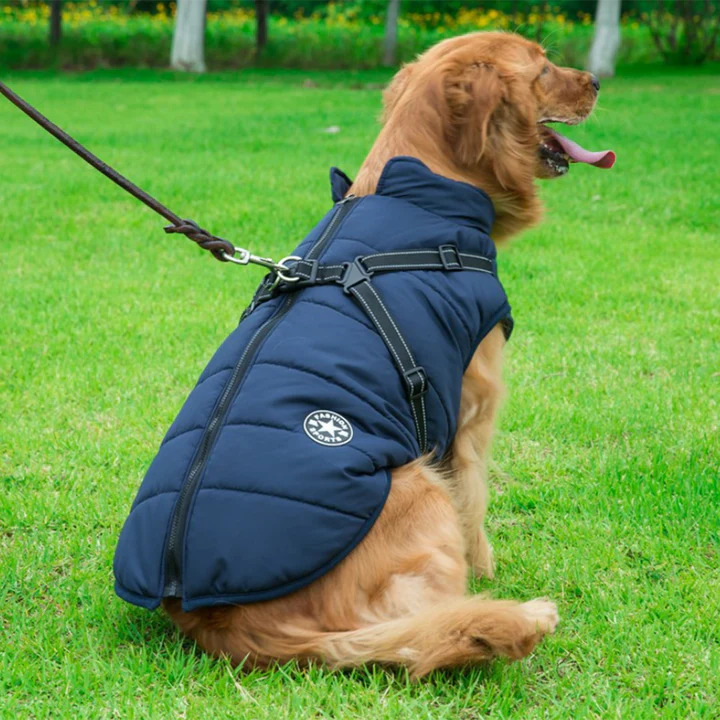 PawJacket™ – Wasserdichte Winterjacke mit Integriertem Geschirr | 50% Rabatt