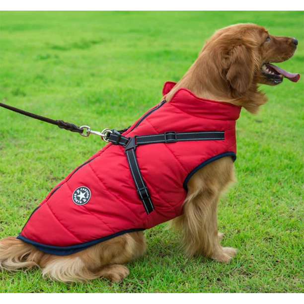 PawJacket™ – Wasserdichte Winterjacke mit Integriertem Geschirr | 50% Rabatt