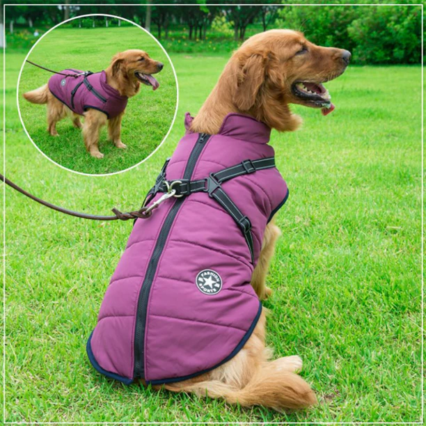 PawJacket™ – Wasserdichte Winterjacke mit Integriertem Geschirr | 50% Rabatt