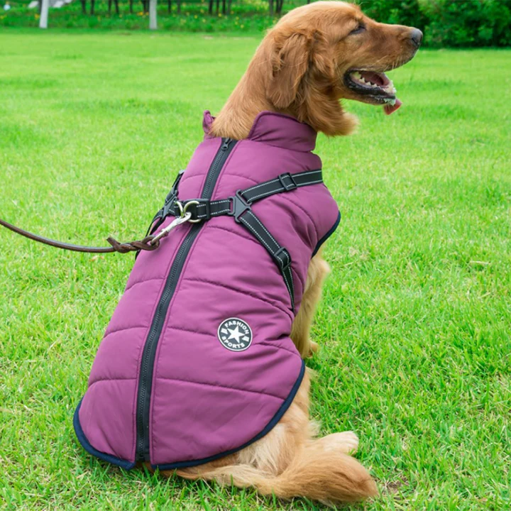 PawJacket™ – Wasserdichte Winterjacke mit Integriertem Geschirr | 50% Rabatt