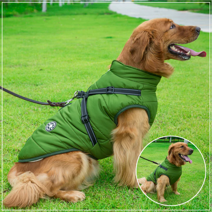 PawJacket™ – Wasserdichte Winterjacke mit Integriertem Geschirr | 50% Rabatt