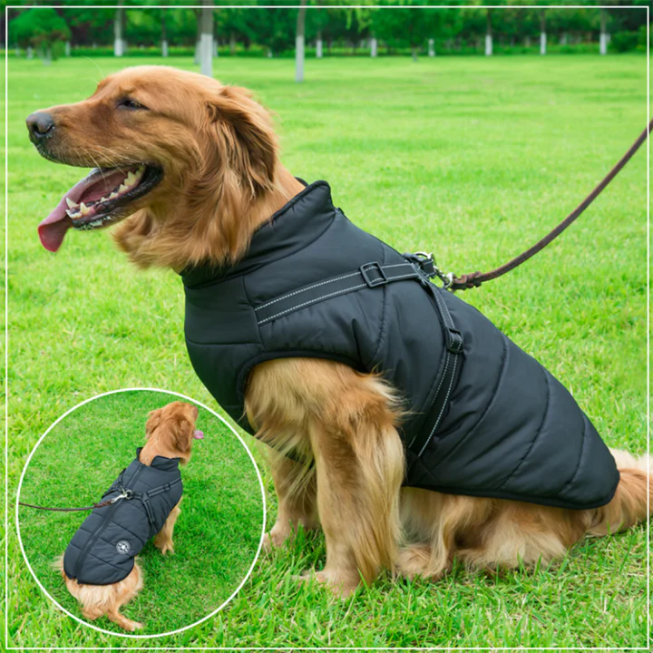 PawJacket™ – Wasserdichte Winterjacke mit Integriertem Geschirr | 50% Rabatt