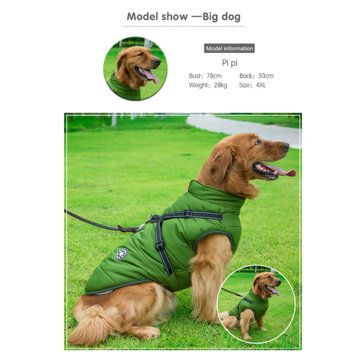 PawJacket™ – Wasserdichte Winterjacke mit Integriertem Geschirr | 50% Rabatt