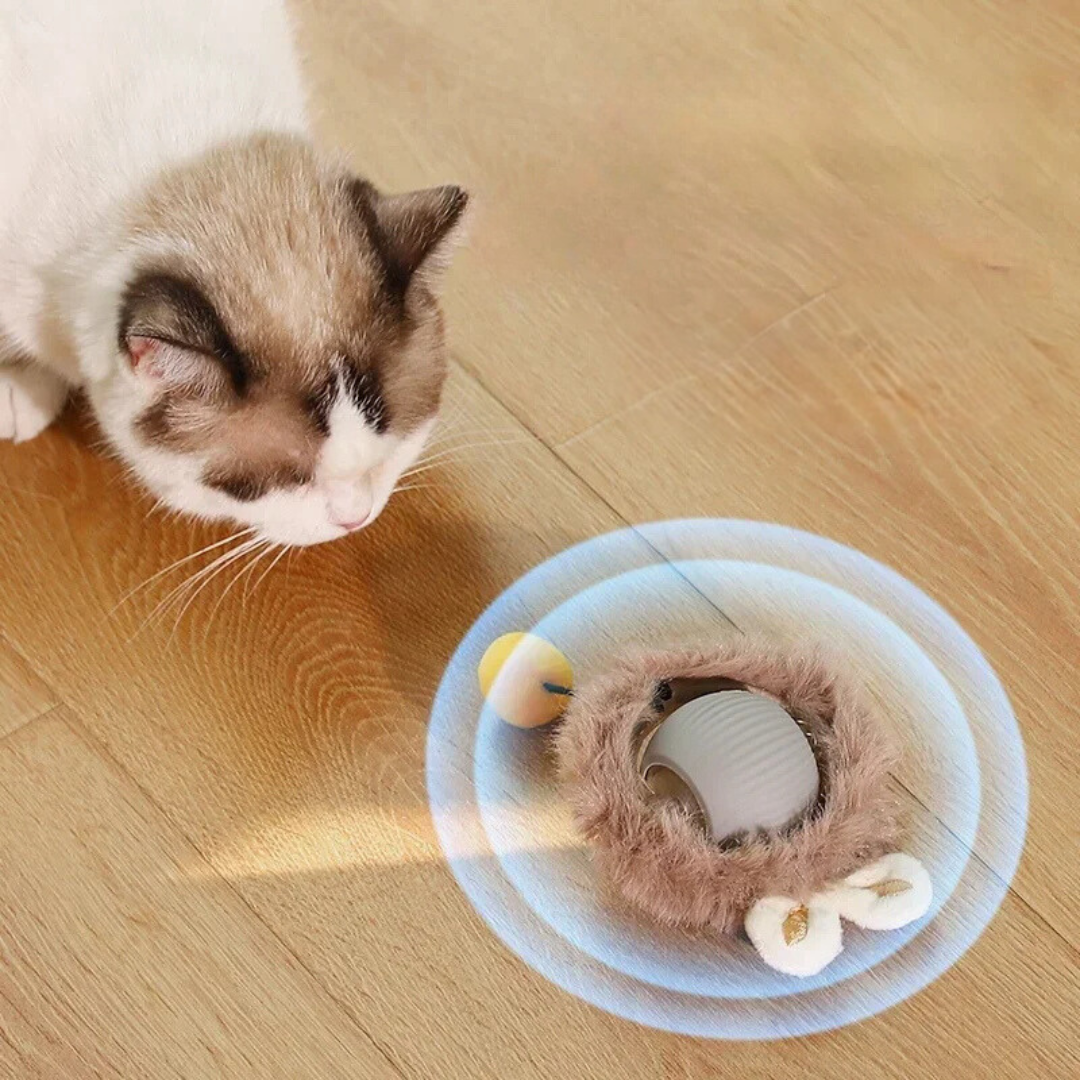 CatBall™ - Interaktiver Spielball mit Schwanz für Katzen [1 + 1 Gratis]