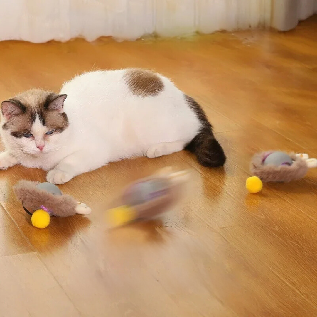 CatBall™ - Interaktiver Spielball mit Schwanz für Katzen [1 + 1 Gratis]