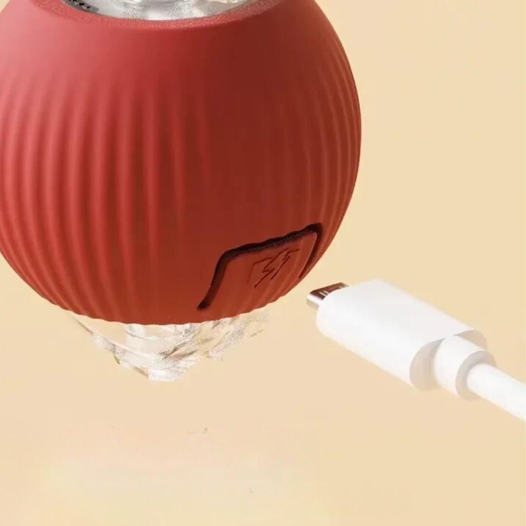 CatBall™ - Interaktiver Spielball mit Schwanz für Katzen [1 + 1 Gratis]