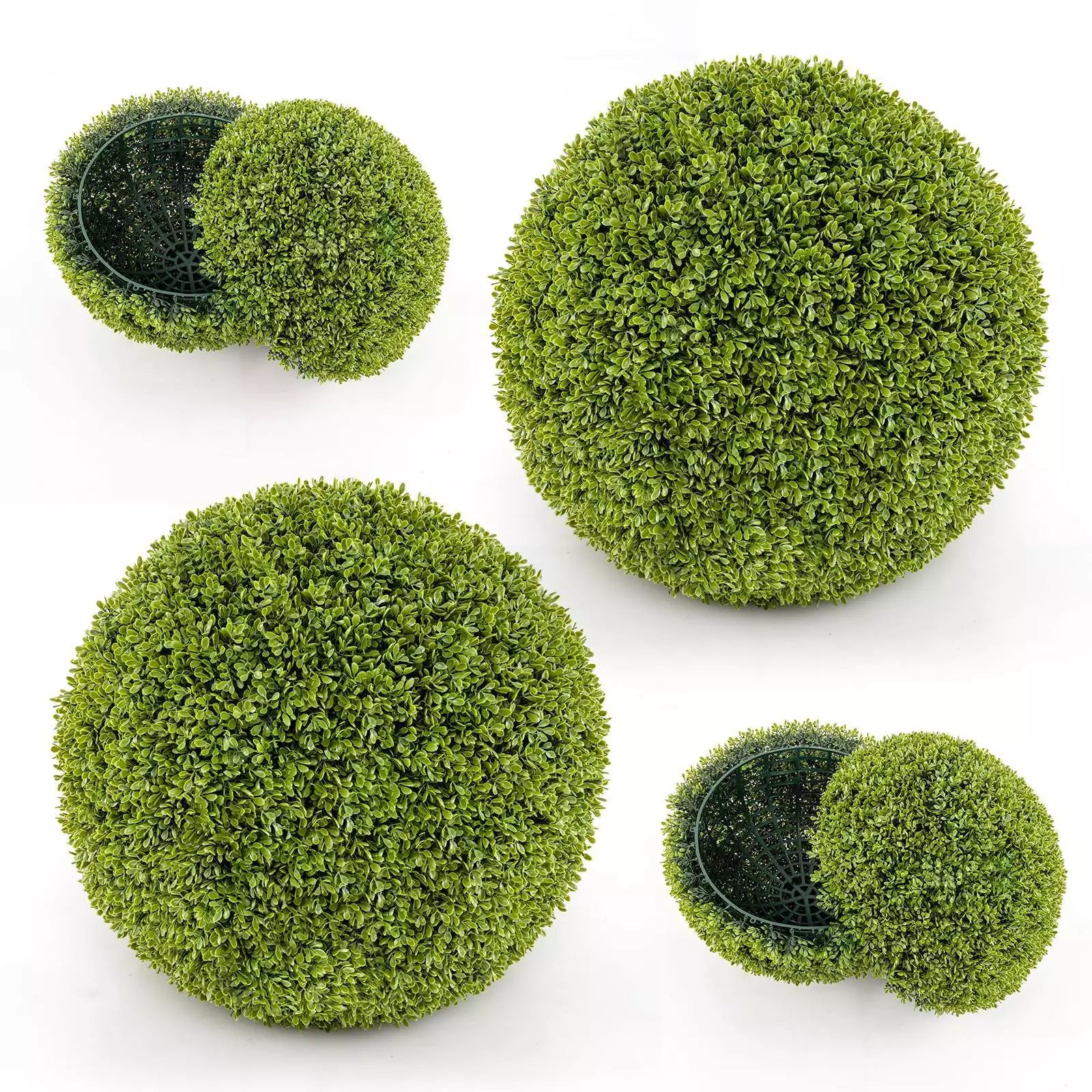 GreenSphere™ – Immergrüner Charme für Haus, Garten und Balkon [1 + 1 Gratis]