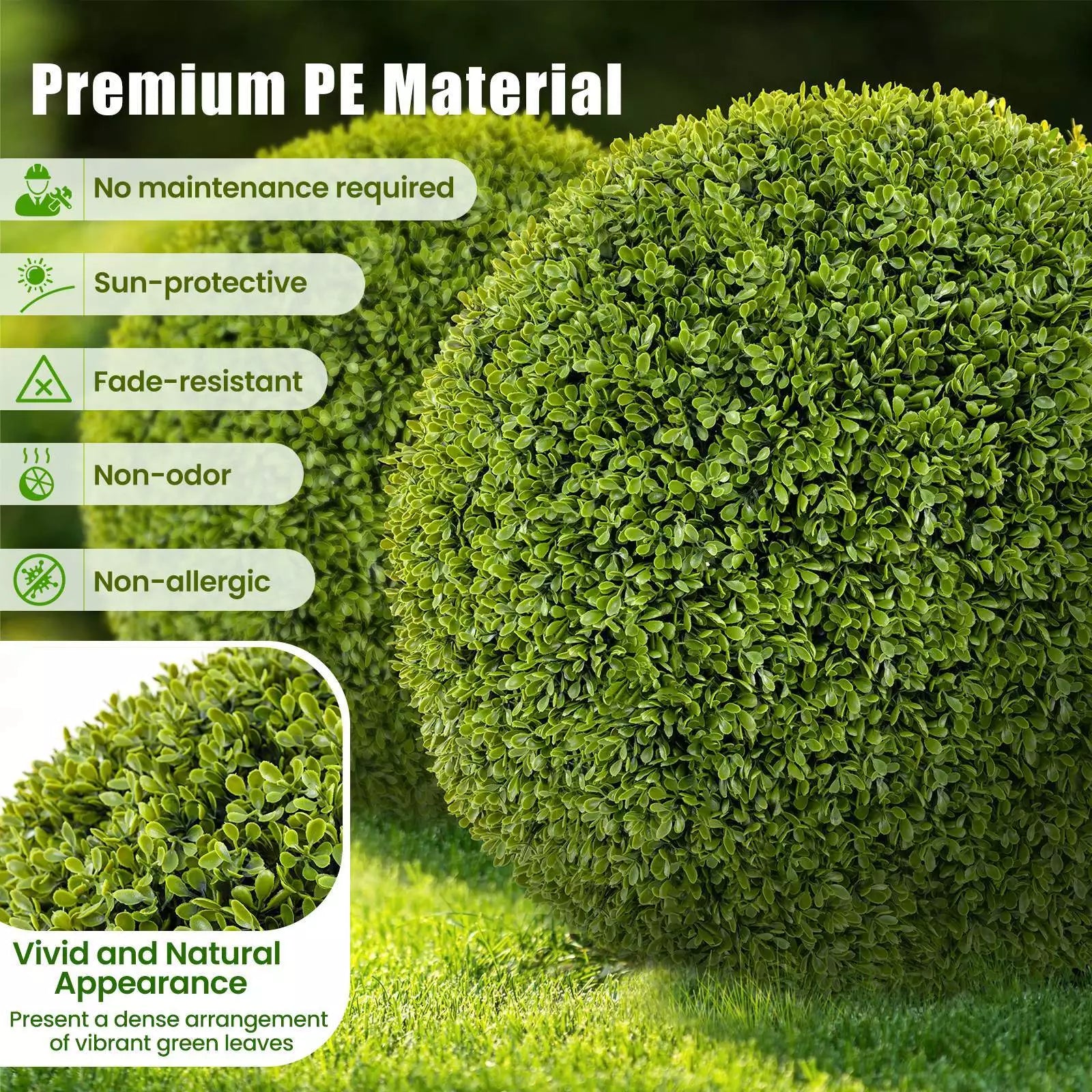 GreenSphere™ – Immergrüner Charme für Haus, Garten und Balkon [1 + 1 Gratis]